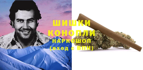 шишки Куйбышев