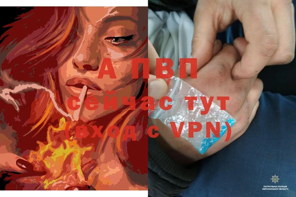 эйфоретик Кулебаки