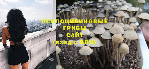 шишки Куйбышев