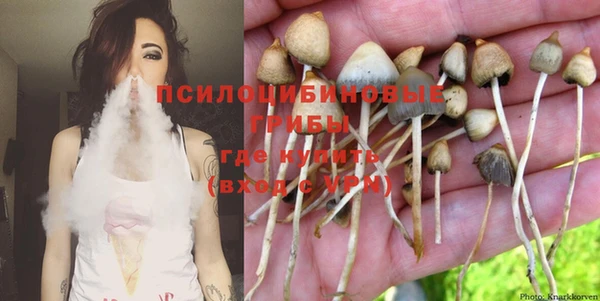 бошки Кукмор