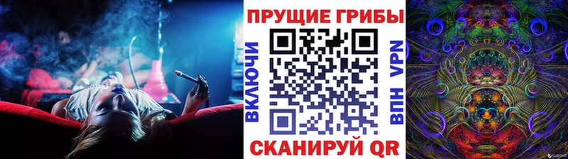 цена   Сычёвка  Галлюциногенные грибы Cubensis 